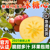 Aksu Apple Authentic Xinjiang Aksu Apple Rock Candy Heart Apple Gift Box Seasonal Fresh Fruit Great Gift Gift Net Weight 5 Jin Small Fruit (Single Fruit Approximately 70-79mm)