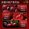 Jingdida Chilean cherries 4J grade fruit king 1.8 catties single fruit 32-34mm fresh fruit gift box direct from source with free shipping