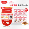 Royal Cat Food Kitten Wet Food Soft Pack Cat Canned KGP General Food 4-12 Months Soup Meat Cubes 85G*6 Imported