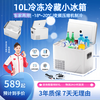 PMG Car Refrigerator Car Home Dual-Purpose Refrigeration and Freezing Fresh Milk Storage Breast Milk Ice Cream Compressor Small Refrigerator Cloud White (-18~20 C) Car Home Dual-Purpose Refrigeration and Freezing Breast Milk Storage Refrigerator 10L