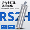 Imported blocking stop cylinder RSHSARS2H506380-30-40DLMBLMTL-X2071 RS2H63-30TM