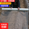Mulch agricultural planting film agricultural materials insulation and moisturizing agricultural film white mulch film plastic film vegetable greenhouse film whole roll 10 pounds 2 meters wide x 560 meters long
