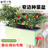 Field path rectangular flower pot balcony vegetable pot water-free window sill narrow side long vegetable trough vegetable planting box strawberry pot 3 narrow side flower pots (free 6 packs of random vegetable seeds)