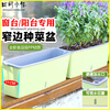 Field path rectangular flower pot balcony vegetable pot water-free window sill narrow side long vegetable trough vegetable planting box strawberry pot 3 narrow side flower pots (free 6 packs of random vegetable seeds)