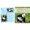 Guolai! Giant Panda This is an original giant panda encyclopedia that explains the knowledge of giant pandas from all aspects and from multiple angles. It contains precious pictures of giant pandas and records wonderful moments such as games, eating, and fighting. It also specially includes the profiles of celebrity pandas Huahua, Heye, Menglan, and Qizai.