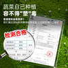 Original starting point balcony roof vegetable planting box rectangular vegetable planting box artifact vegetable pot vegetable box plastic flower box outdoor balcony entry model 80cm long two-joint box