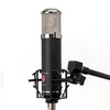LAUTEN Audio LA320 V2TuBe tube microphone microphone live broadcast studio professional recording singing recording arranger music production LA320 tube v2 comes standard