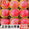 Shaanxi Luochuan Alpine Red Fuji Apple 10 catties. Fresh seasonal fruit, crisp, sweet and juicy. Whole box picked from the origin. 9-10 catties large fruit in a box.