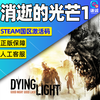 Steam Game Dying Light Definitive Edition Believer Enhanced Edition Country Activation Code CDK Dying Light 1 Believer Enhanced Edition