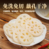 Xianwowo water lotus root slices 1000g lotus root slices hot pot ingredients fresh vegetables spicy hot Bobo chicken cold dish