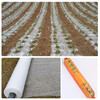 Mulch Agricultural film Agricultural white film White mulch film Agricultural mulch White plastic mulch film Mulch film for agricultural vegetables Gross weight 4.8 catties Thin section 0.6 meters wide X 580 meters long