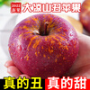Ugly Apple Fruit Fresh Daliangshan Yanyuan Apple Seasonal Whole Box Pregnant Women Rock Candy Heart Authentic Red Sweet Fuji 9 Jin (Bag Fruit) 75-80mm (Excluding) Medium and Large Fruit High Repeat Purchase