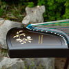 Xunyin guzheng advanced collection playing guzheng professional grading guzheng national plucked instrument