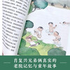 Two Brothers (summer reading book for hundreds of classes and thousands of people) (8-14 years old) children's books, extracurricular books, primary school students' books