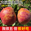 Ugly Apple Fruit Fresh Daliangshan Yanyuan Apple Seasonal Whole Box Pregnant Women Rock Candy Heart Authentic Red Sweet Fuji 9 Jin (Bag Fruit) 75-80mm (Excluding) Medium and Large Fruit High Repeat Purchase