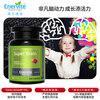 EnerVite Cerebralol 90 Capsules Highly Concentrated Schizochytrium Oil DHA Lecithin Phosphatidylserine Replenishes the Brain and Activates Whole-Brain Development