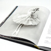 Complete Book of Ballet DK Centenary Ballet The Art of Pointe 2025 Newly Revised Edition