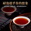 Wanglanchuan Wuzhou Guangxi Premium Liubao Tea Ten Years Old Dehumidified Black Tea Ripe Tea Boxed Gift Tea Wuzhou Specialty Ten Years Old Authentic Liubao Tea One-pound Paper Bag