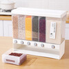 Jingyan Food Grade Grains and Insect-proof Separated Rice Buckets Moisture-proof Classification Storage Box Kitchen Compartment Plastic Sealing Six-Gate Classification Can Hold 20 Jin + Measuring Cup Can Be Wall-mounted or Floor-standing
