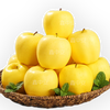 Jingmi Golden Venus Apple Fruit Fresh from Shandong, net weight 5 pounds, single fruit starting from 150g, straight from the source