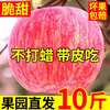 Erdie Shaanxi Red Fuji Apple Fresh Fruit 10 Jin Rock Candy Heart Seasonal Ugly Apple Seasonal Fruit Crisp Sweet Whole Box Selected 9 Jin Pack Net Weight 8.5 Jin 80-85mm