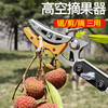 Arrizo fruit picking artifact telescopic pole high branch shears extended high altitude pruning scissors picking lychees and longan manual farm tools 1.8-3 meters 2-stage telescopic + saw blade