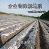 OIMG fully biodegradable mulch film, degradable agricultural vegetable film, black mulch film, rice weed control, moisturizing and environmentally friendly film, black degradable film (20 catties/roll, 1 silk thick) 1.2m 480m