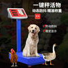 Yongcai (YONGCAI) electronic scale commercial high-precision electronic scale floor-standing charging weighing platform scale household scale stall business scale selling vegetables smart pricing scale express scale industrial counting scale 150 kg 30*40 steel key indoor red letter long battery life no installation required