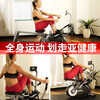 SUNNY American SUNNY sculls rowing machine home fitness equipment indoor silent foldable forging European and American independent installation/simulation sculls/exercise