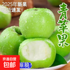Shandong fresh green apple fruit, full box jin, seasonal green apples, free shipping, seasonal sour and crispy Ugly Pingping fruit for pregnant women, 4 jin in box (60-70mm)