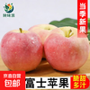 Rock candy heart apple fresh fruit red Fuji season whole box 5 pounds Shaanxi seasonal ugly apple flat fruit single fruit 70mm + 1 piece
