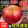 25-year-old Yunnan Zhaotong Ugly Apple Rock Candy Heart Authentic Gift Box Fresh Apple Fruit Seasonal Whole Box Flat Fruit Full Box 6 Jin Large Fruit Fruit Diameter 75-80 Net Weight 5 Jin