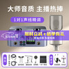 Aiken 2nanos external sound card set computer mobile phone anchor live broadcast singing karaoke wired mic host iCON sound card equipment 2nanoS+ Desheng K200