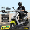 Xinri (Sunra) electric motorcycle Feisha 6 lead-acid Tianneng batteries 72v battery life 73km scooter home commuting electric motorcycle electric car battery car gray