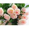 Artificial flower rattan decorative flower rose flower artificial flower rattan pipe wall hanging green plant artificial flower vine indoor balcony ceiling 69 champagne flowers 1