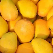 [Frutas y verduras seleccionadas] Hainan Sanya Xiaotainong mango caja entera al por mayor fruta fresca en temporada