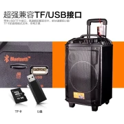 Bede Qiankun Square Dance Audio Hochleistungs-Funkmikrofon für den Außenbereich K Song Mobiler Hochleistungs-Bluetooth-Stablautsprecher Duales U-Segment-FM-Mikrofon 12 Zoll + Duales U-Segment-FM-Mikrofon + 16G USB-Flash-Laufwerk + Geschenkpaket