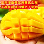 [Frutas y verduras seleccionadas] El mango Guifei Hainan Sanya El mango Guifei está maduro y fresco en el árbol frutal de temporada, 5/8/jin FCL al por mayor trata de comer 1 no se recomienda catty [fruta grande boutique] + recomendación de regalo