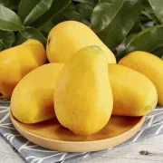 [Frutas y verduras seleccionadas] Hainan Sanya Xiaotainong mango caja entera al por mayor fruta fresca en temporada