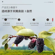 Gelsi essiccati Fudonghai selezionati gelsi neri essiccati senza sabbia 500g 250g x2 bottiglie di tè di gelso istantaneo tè della salute