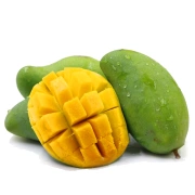Jiuyuan Nongzhen Hainan Sanya Jinhuang mango Daqing mango suministro directo 5 catties desde el origen del paquete especial recién recogido alrededor de 200-400g