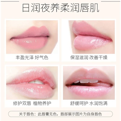 オーストラリアンローダーaocilenda妊娠中の口紅保湿リップグロスナチュラルリップケア妊娠中の