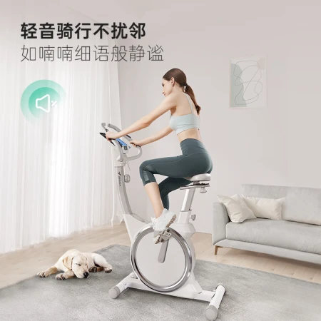 MERACH Spinning Bike Home Magnetic Control Mute Smart Sports Fitness Equipment Indoor Pedal Bike Silver Moon SILVER Manual Resistance Adjustment/Support HUAWEI HiLink