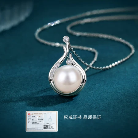 Qlady Freshwater Pearl Necklace Women's Temperament Light Luxury Pearl Pendant Fashion Jewelry Birthday Gift for Girlfriend