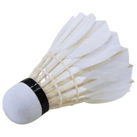 Qiao QIAO badminton training grade resistant duck feather badminton AS03max12 pack/tube