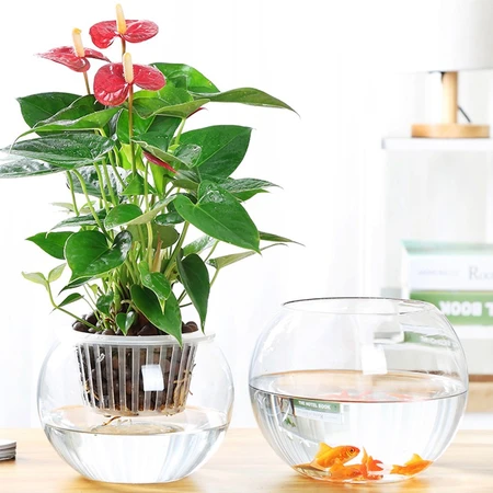 豫之韵欧式玻璃花瓶花艺透明水培植物瓶创意家居客厅装饰