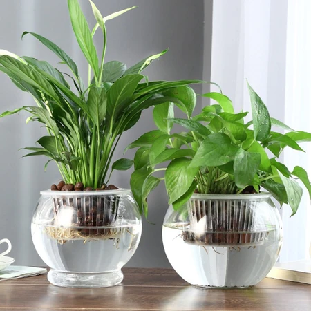 豫之韵欧式玻璃花瓶花艺透明水培植物瓶创意家居客厅装饰