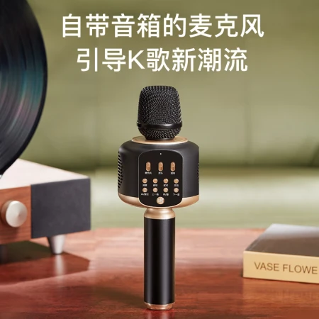 Sing it K song treasure microphone D10 wireless bluetooth audio integrated microphone entertainment capacitor wheat family KTV voice changer microphone