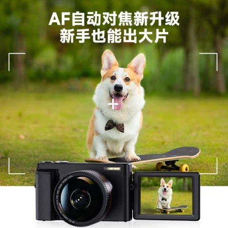 Caizu CAIZU student entry-level micro-single camera can beautify the face and take high-definition selfies 48 million pixel retro digital camera travel can record VLOG camera silver standard + wide-angle lens [8 special gifts] 32G memory card