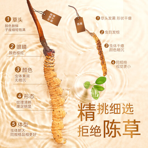 
Huaici Tang Cordyceps 4 pieces/g 10g gift box New dried Cordyceps nourishing gift box for elders Mother's Day gift